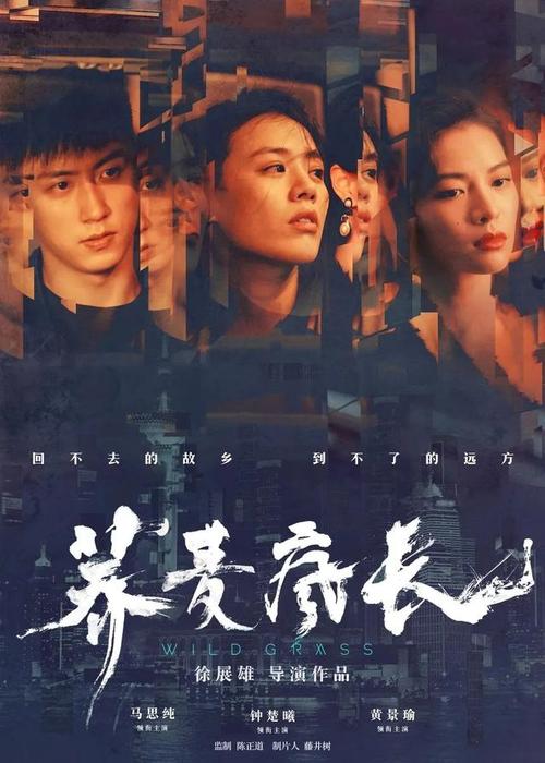 高等技术学院成绩单办理